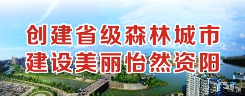 欧美大奶大屁股日逼视频创建省级森林城市 建设美丽怡然资阳