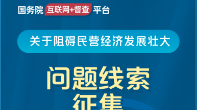 罪魇凌薇结局国务院“互联网+督查”平台公开征集阻碍民营经济发展壮大问题线索